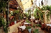Click here to see the picture (crete060601_13_ chania_tour_tony.jpg)